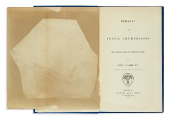 SCIENCE  WARREN, JOHN COLLINS. Remarks on Some Fossil Impressions in the Sandstone Rocks of the Connecticut River.  1854
